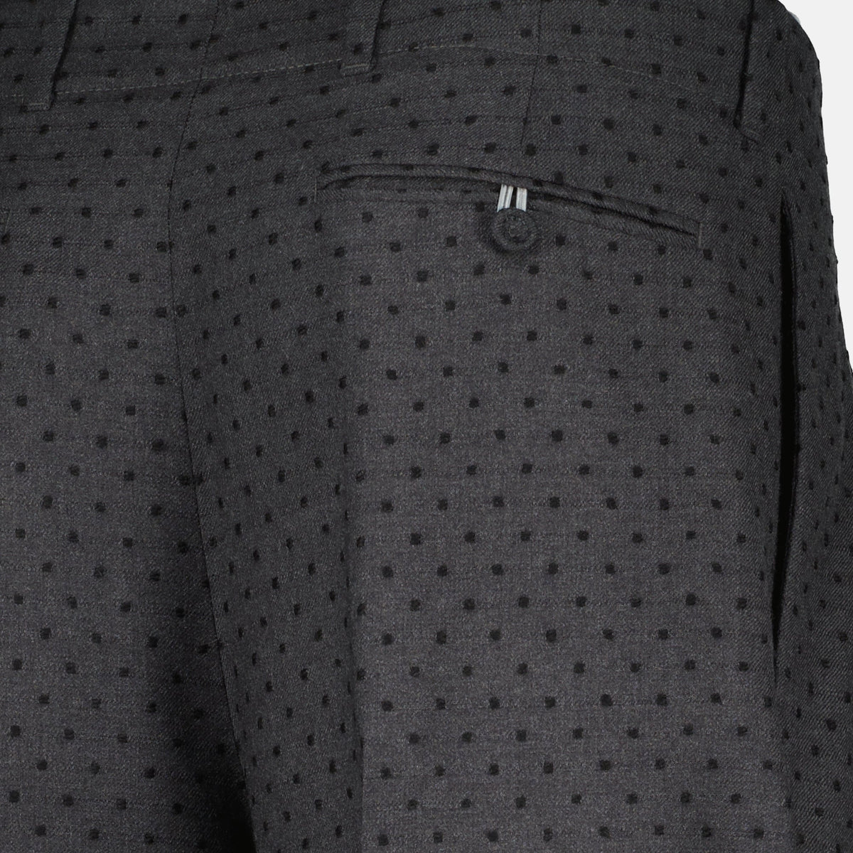 Pleated Pants
